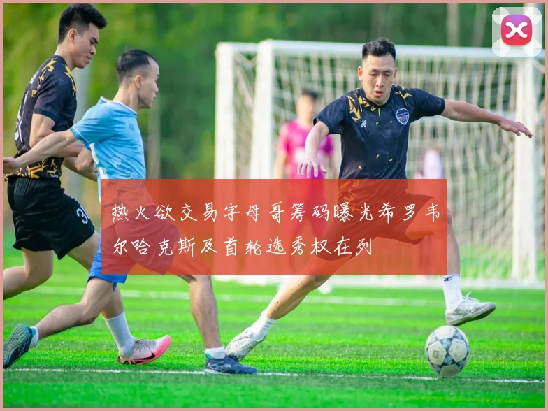 热火欲交易字母哥筹码曝光希罗韦尔哈克斯及首轮选秀权在列