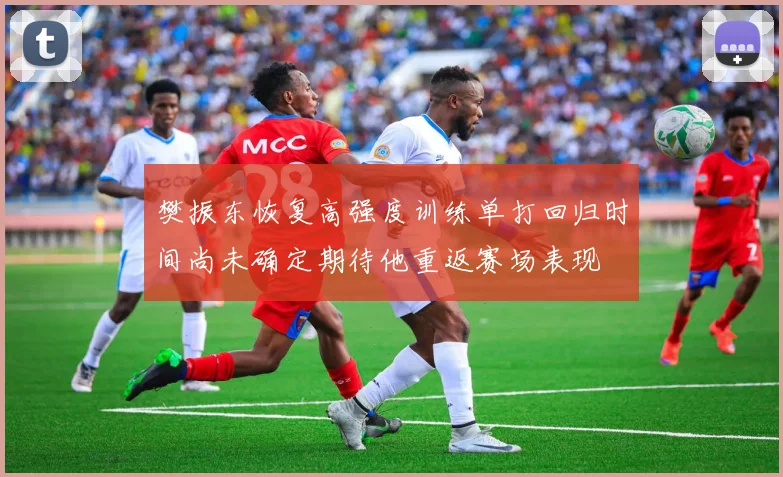 樊振东恢复高强度训练单打回归时间尚未确定期待他重返赛场表现