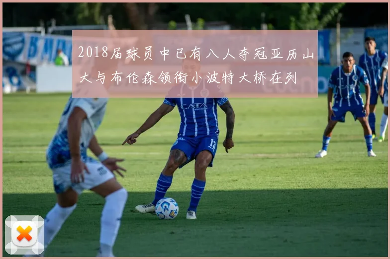 2018届球员中已有八人夺冠亚历山大与布伦森领衔小波特大桥在列