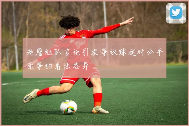 老詹组队言论引发争议球迷对公平竞争的看法各异