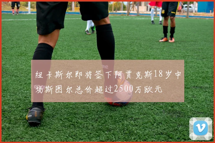 纽卡斯尔即将签下阿贾克斯18岁中场斯图尔总价超过2500万欧元